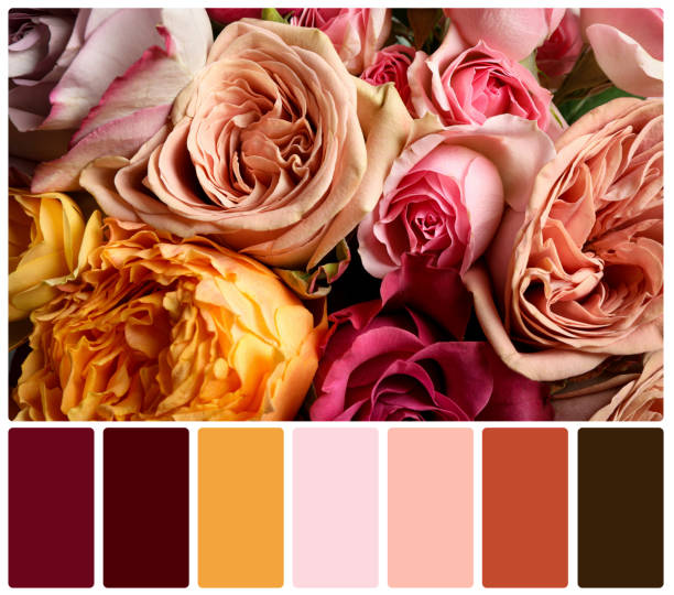 istock Beautiful fresh flowers and color palette. Collage 1788141052