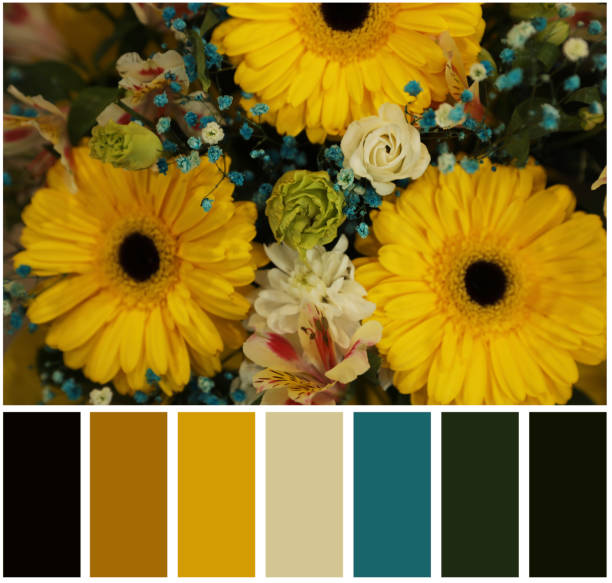 istock Beautiful fresh flowers and color palette. Collage 1788141567