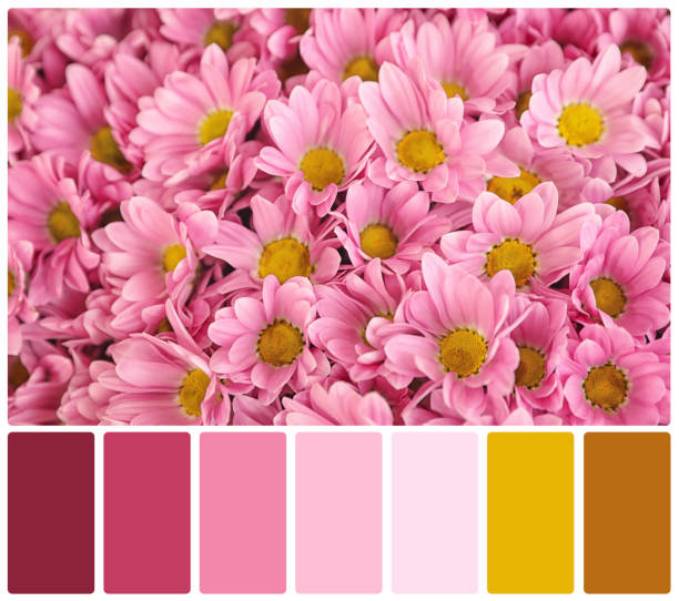istock Beautiful fresh flowers and color palette. Collage 1788141570