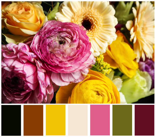 istock Beautiful fresh flowers and color palette. Collage 1788141620
