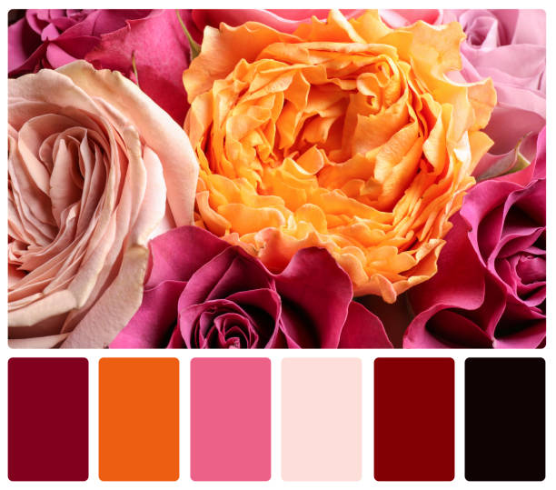 istock Beautiful fresh flowers and color palette. Collage 1788142619