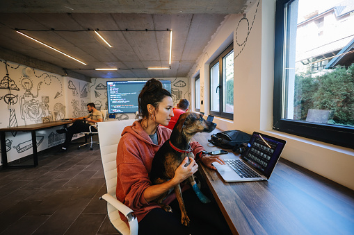 Developers working in a pet friendly co-working space.