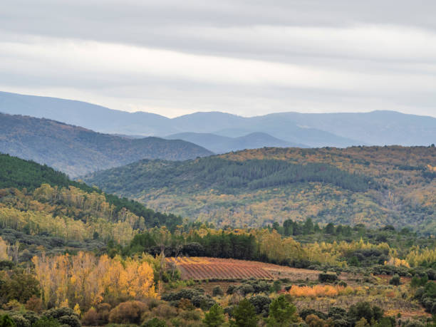 istock Landscape in autumn 1788159400