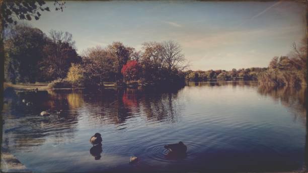 istock Vintage Style Pond in Autumn 1788160074