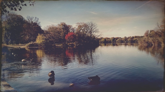 Vintage Style Pond in Autumn