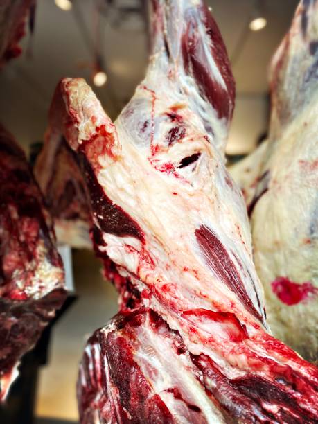 istock Meat in a Butcher’s Window 1788161692