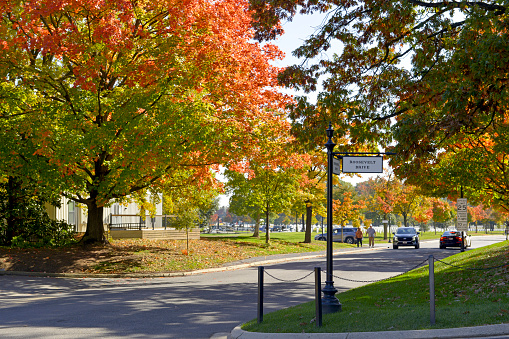 Fall colors at the Arlington National Cemetery in Virginia