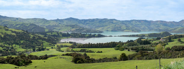 istock View of Banks Peninsula and Akaroa Harbour 1788172258