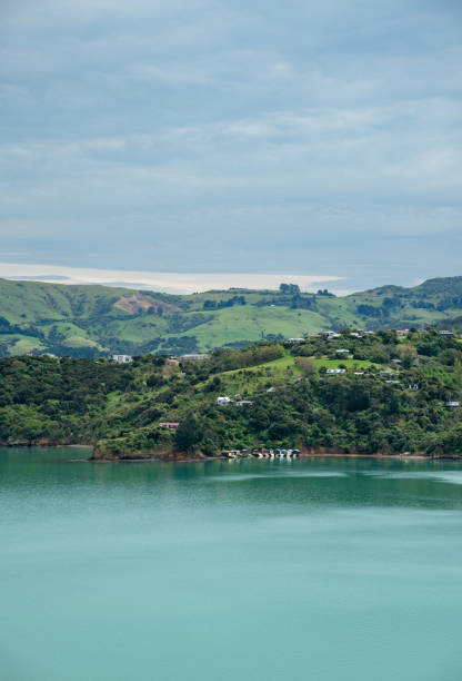 View of Akaroa Harbour on Spring Afternoon with Copy Space