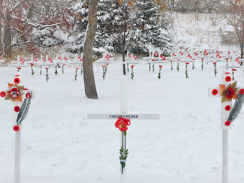 Calgary, Alberta, Canada - November 2017: Field of Crosses, 3500 crosses are displayed along Memorial Drive in the from the first of November 'till Remembrance Day on November 11th. The 3500 crosses are to commemorate the fallen soldiers (of Southern Alberta)