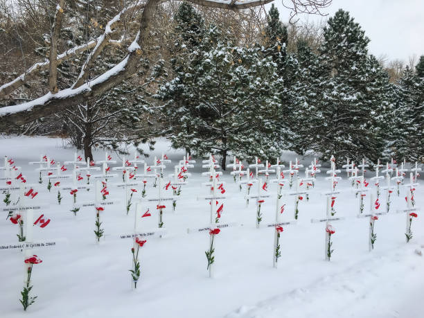 Calgary, Alberta, Canada - November 2017: Field of Crosses, 3500 crosses are displayed along Memorial Drive in the from the first of November 'till Remembrance Day on November 11th. The 3500 crosses are to commemorate the fallen soldiers (of Southern Alberta)