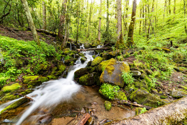 istock Waterfall cascading over the rocks in the Great Smoky Mountains NP 1788196231