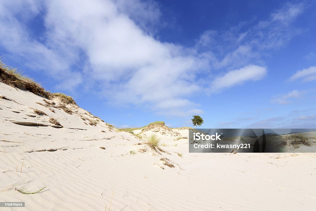 Desert-Landschaft - Lizenzfrei Anhöhe Stock-Foto