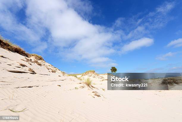 Desertlandschaft Stockfoto und mehr Bilder von Anhöhe - Anhöhe, Baum, Bedeckter Himmel