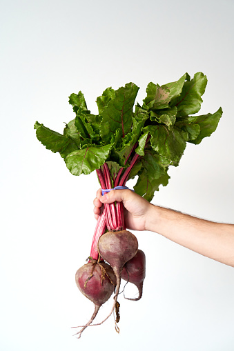 A man holds a bunch of fresh juicy beets with leaves
