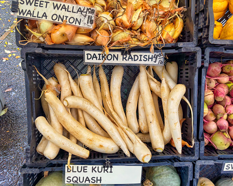 daikon radish at the farmer's market