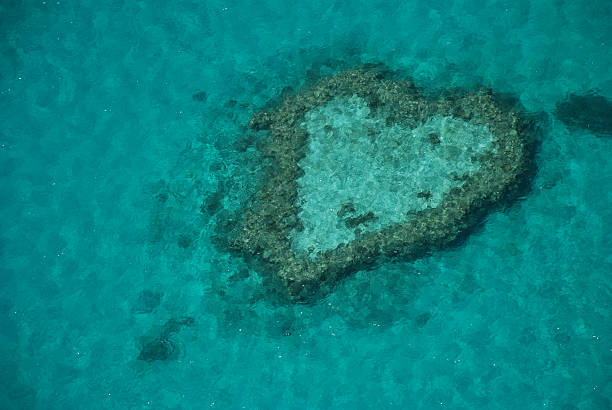 istock Heart Reef, Great Barrier, Australia 178820323