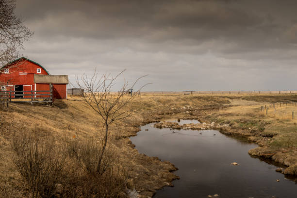 istock Rustic building on the prairies Vulcan County Alberta Canada 1788203569