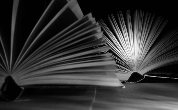 istock Open books close up, black and white, reading, education, knowledge concept. 1788204088