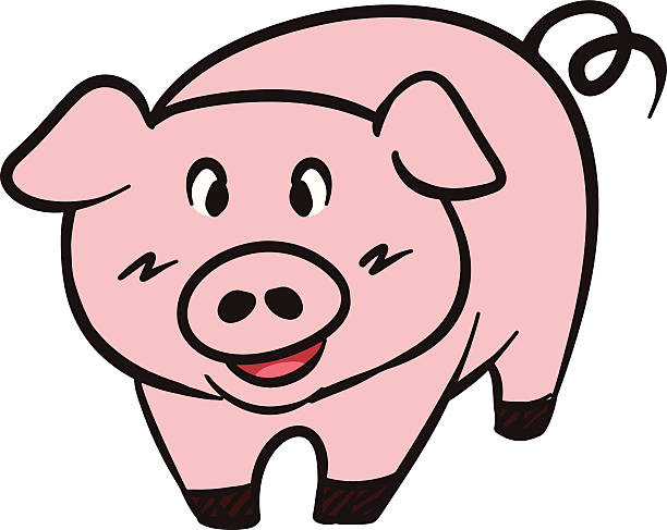 Pig vector cartoon vector art illustration
