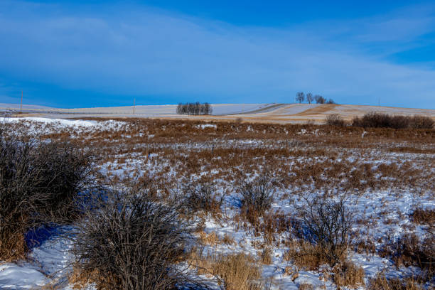 istock Snowy farmers fields, Rocky View County Alberta Canada 1788208279