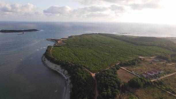 istock Sea ocean costline aerial drone 1788212022