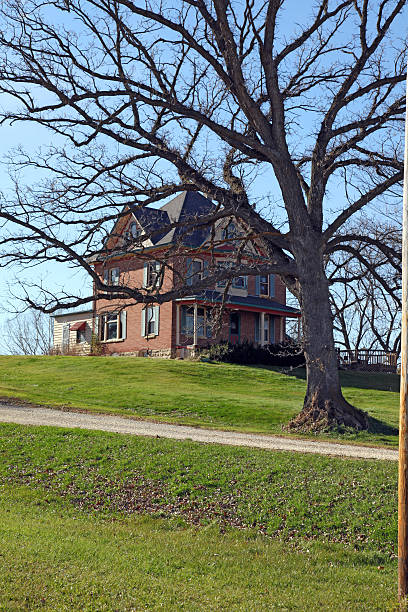 istock A house that is on the hill with a bare tree in the front 178822490
