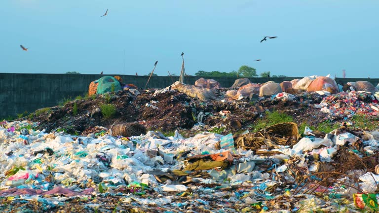 Landfill With Pile Of Garbage And Birds Flying. Environmental Pollution. wide