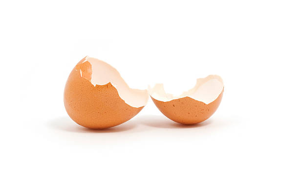 coś wyklute z jajka - eggs animal egg cracked egg yolk zdjęcia i obrazy z banku zdjęć