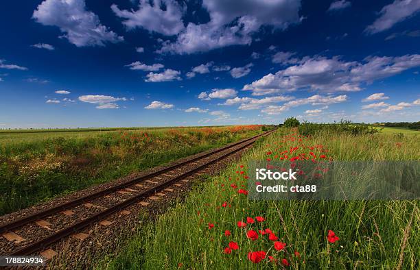 Malownicze Railroad W Regionie - zdjęcia stockowe i więcej obrazów Bez ludzi - Bez ludzi, Chmura, Drzewo