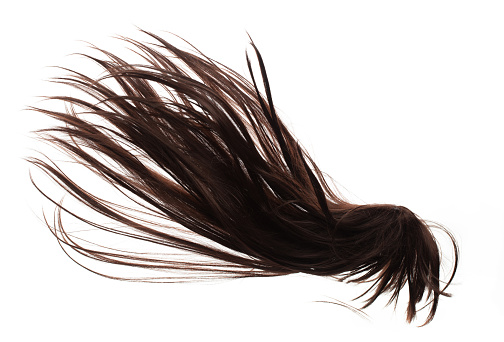 Wind blow Long straight Wig hair style fly fall. Brown woman wig hair float in mid air. Straight brown black wig hair wind blow cloud throw. White background isolated detail motion