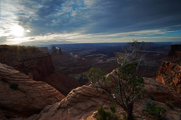 istock Canyonlands National Park 178826509