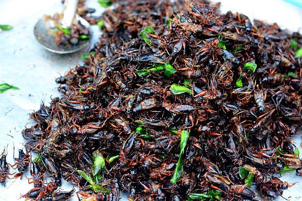 istock Fried crickets at market in thailand 178826687