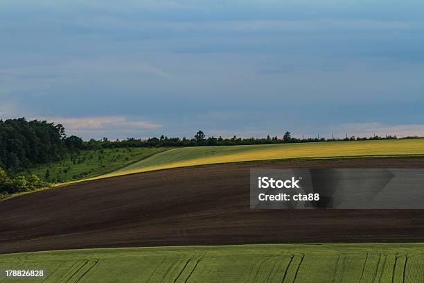 Photo libre de droit de Magnifique Campagne En Été banque d'images et plus d'images libres de droit de Agriculture - Agriculture, Arbre, Beauté de la nature