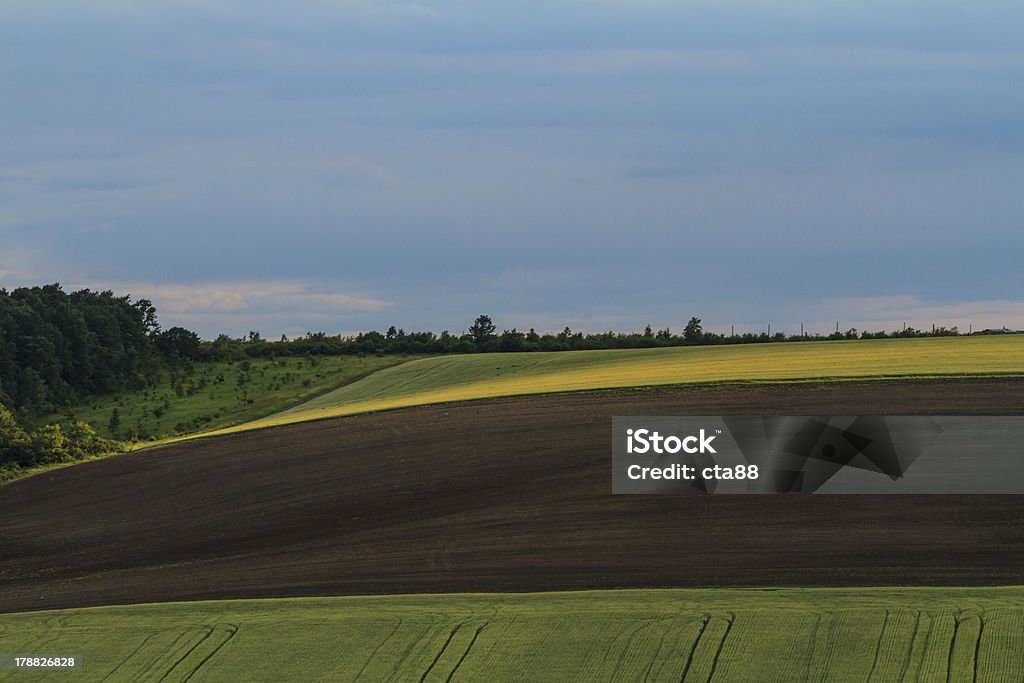 Splendida campagna in estate - Foto stock royalty-free di Agricoltura
