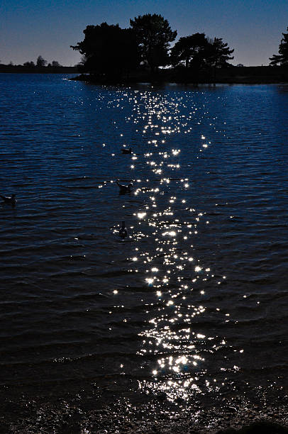 Sunlight shimmering on the water in the evening with trees silhouetted in the background
