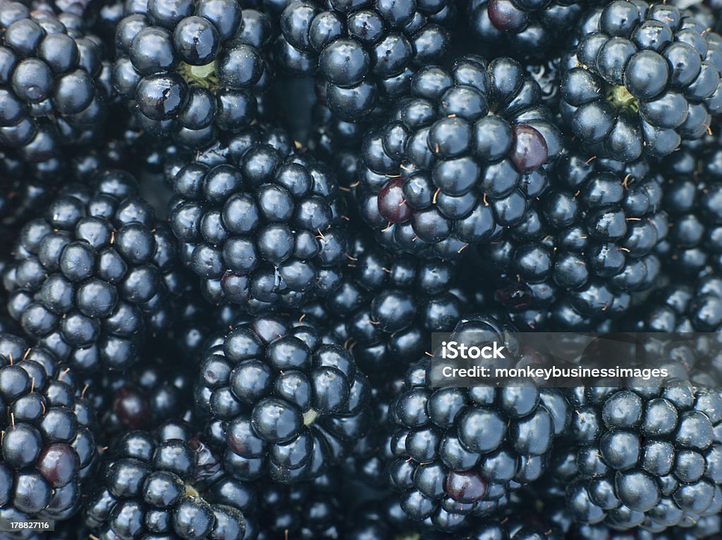 신선한 Blackberries - 로열티 프리 0명 스톡 사진