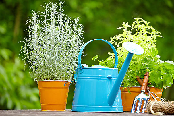 istock concept of gardening and hobby 178827277