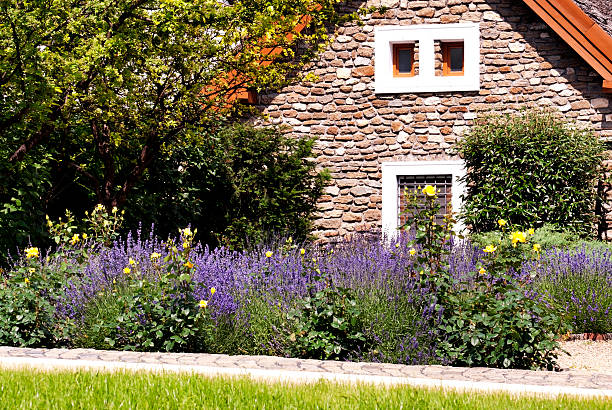 Relaxing garden with flower pot  in cozy home.
