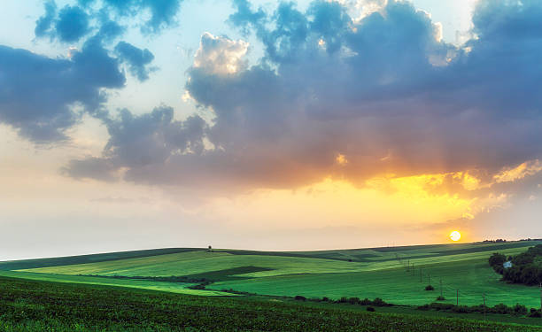 istock sunset over agricultural green field 178827699