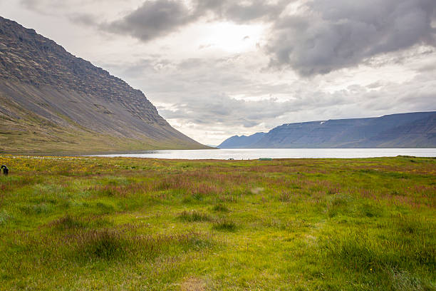 istock Dynjandisvogur fjord - Iceland. 178828033