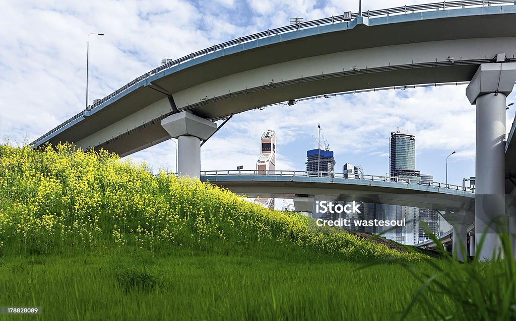 Hohe Bockbrücken über eine Wiese - Lizenzfrei Ansicht aus erhöhter Perspektive Stock-Foto