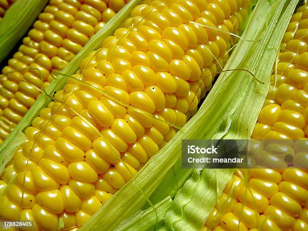 Surowe Kukurydza - zdjęcia stockowe i więcej obrazów Bez ludzi - Bez ludzi, Bliskie zbliżenie, Czerwony