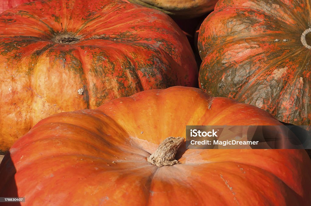 Pumpkins-свежих продуктах - Стоковые фото Без людей роялти-фри
