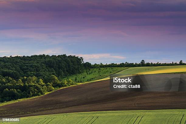 Schöne Landschaft Im Sommer Stockfoto und mehr Bilder von Agrarbetrieb - Agrarbetrieb, Anhöhe, Baum