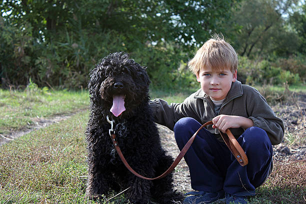 istock Happy young boy resting with his dog in the field 178830867