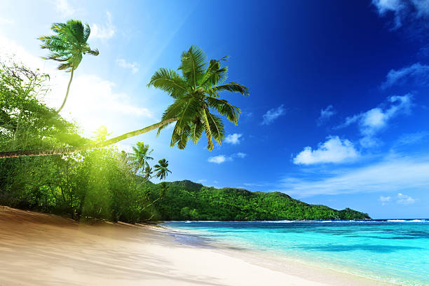 istock beach in sunset time on Mahe island, Seychelles 178831842