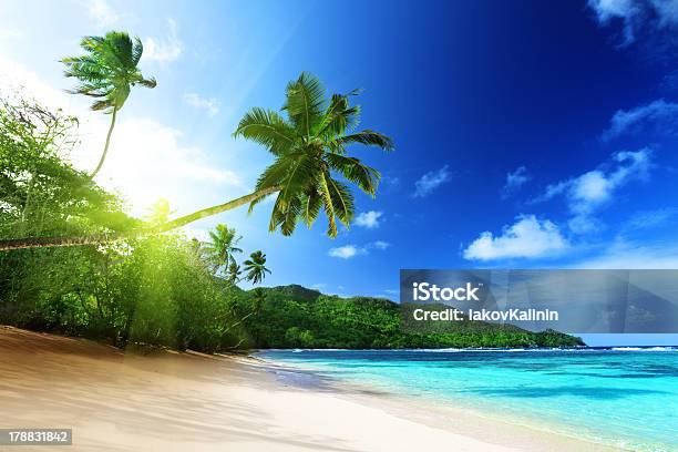 Beach In Sunset Time On Mahe Island Seychelles Stock Photo - Download Image Now - Palm Tree, Bay of Water, Seychelles