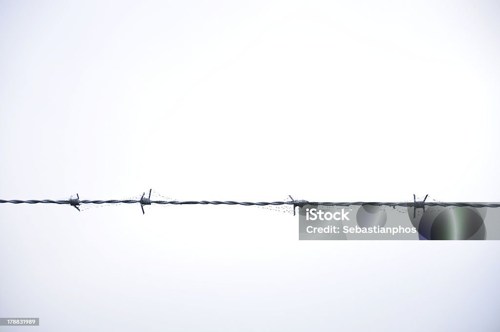 barbed wire a barbed wire into the winter Barbed Wire Stock Photo