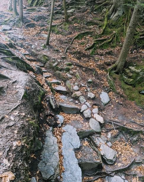 istock Stone steps at Warren Falls - Vermont 1788320647